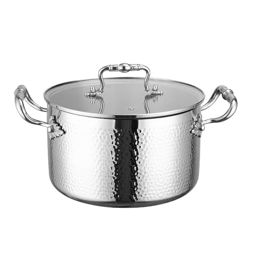 Stainless Steel Stock Pot with Visible Lid for Pasta