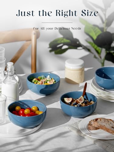22 OZ Ceramic Soup Bowls & Cereal Bowls (4 Count)