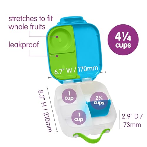 Mini Lunch Box
