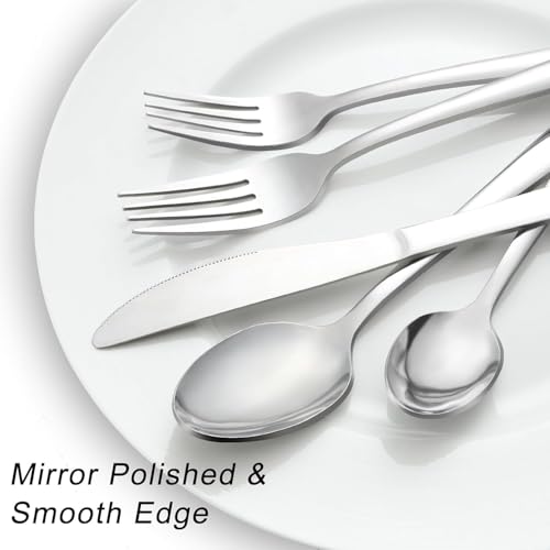 48 Piece Stainless Steel Silverware Set for 8 (48 Count)