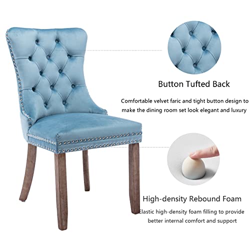 Light Blue Velvet Dining Chairs Set of 4 (4 Count)