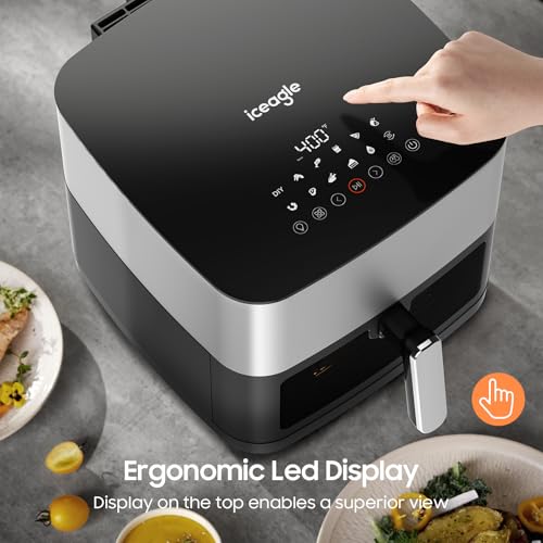 Stainless Steel Air Fryer 9 Quart