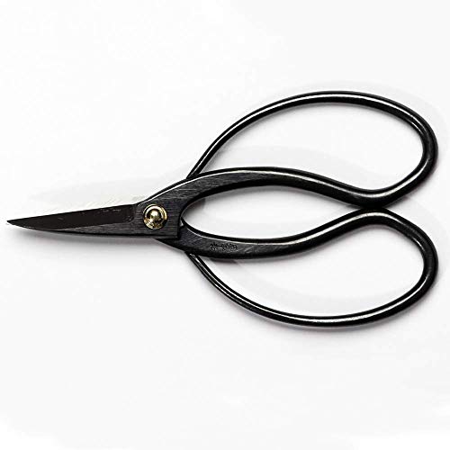 Hanafubuki Wazakura Bonsai Scissors Made in Japan 7inch