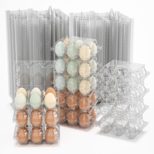 100 Pack Large Egg Cartons Cheap Bulk 6 Count Plastic Egg Containers 2x3