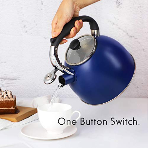 Whistling Tea Kettle for Stove Top