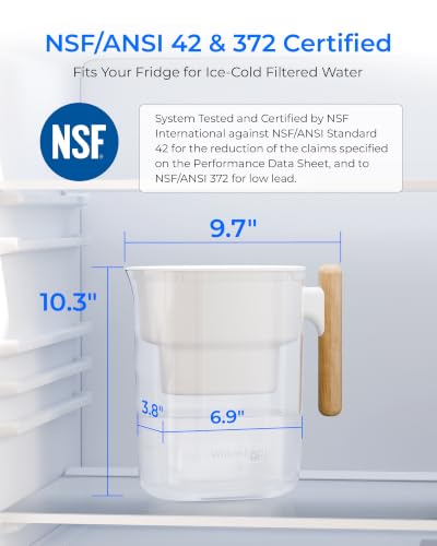 PT 04W Water Filter Pitcher