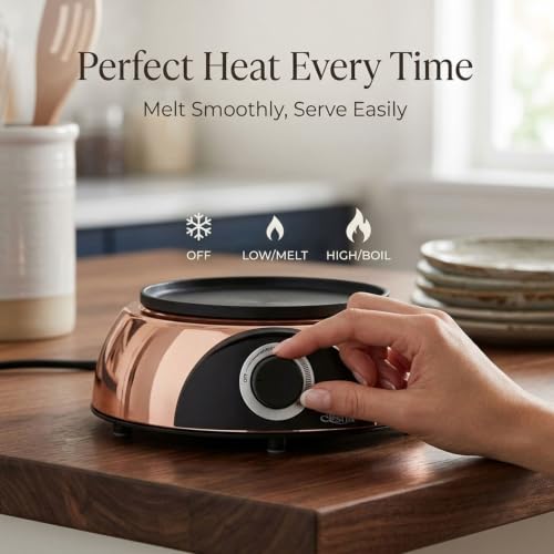 Electric Dip Warmer & Fondue Pot with Adjustable Temperature