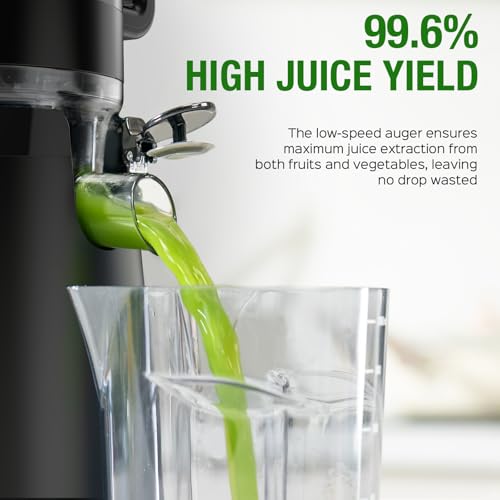 Cold Press Juicer Machine