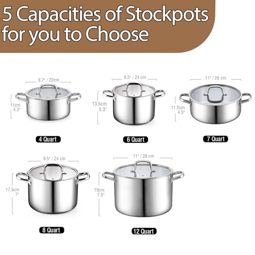 12 Quart Tri Ply Clad Stainless Steel Stockpot with Lid