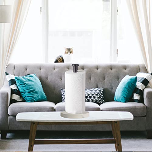 Paper Towel Holder Countertop