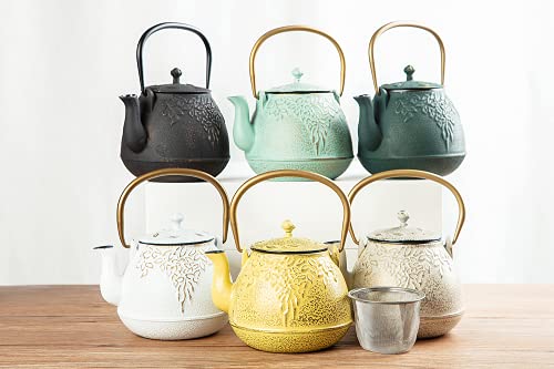 Tea Kettle TOPTIER Japanese Cast Iron Tea Pot for Stove Top