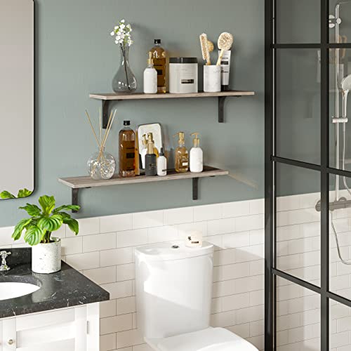 Long Wall Shelves (2 Count)