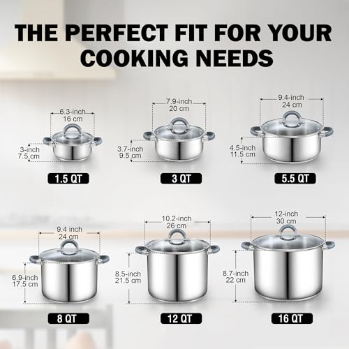 Basics 3 Quart Stainless Steel Stock Pot with Lid
