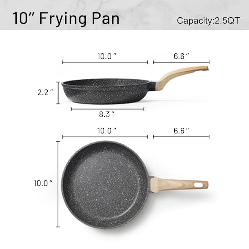 10 inch Non Stick Black Frying Pan Skillet (16 Ounce)