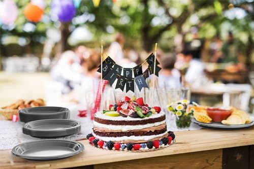 Party Solids Sturdy Silver Plastic Plates 10" Party Plates 100 Pcs (100 Count)
