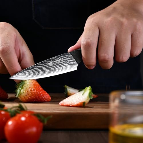 8C Damascus Knife Set