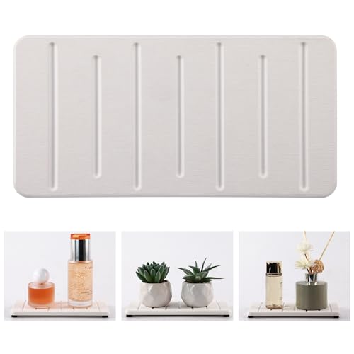 2PCS Water Absorbing Stone Tray for Cosmetics & Hand Soap & Houseplants (2 Count)