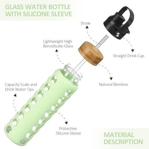 Glass Water Bottle