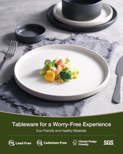 Star Stoneware Dinnerware Set (12 Count)