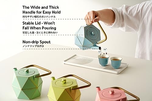 Cast Iron Teapot