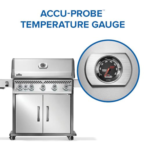 Rogue PRO 625 5