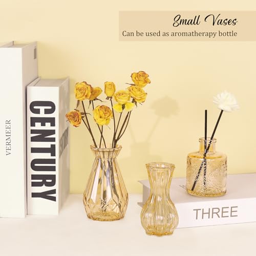 Set of 36 Glass Bud Vases Small Flower Vases for Centerpieces (36 Count)