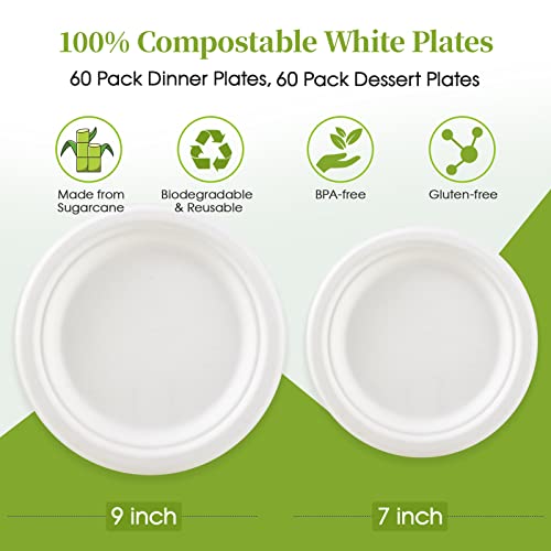120 Pack Compostable Paper Plates Disposable (60 Count)