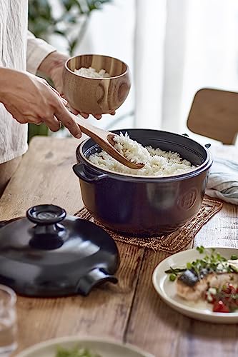2.5 qt Rice Pot