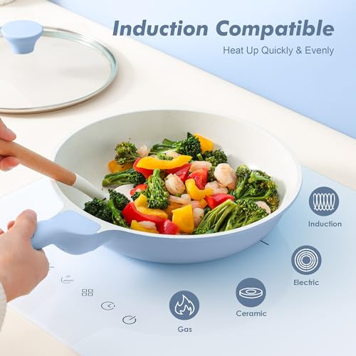 9.5Inch Nonstick Ceramic Frying Pan with Lid