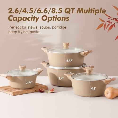 Ceramic Nonstick Stock Pot with Lid