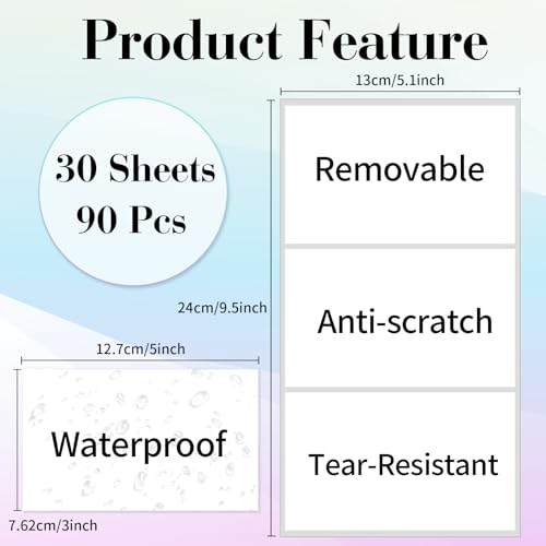 Removable Colored Labels Stickers