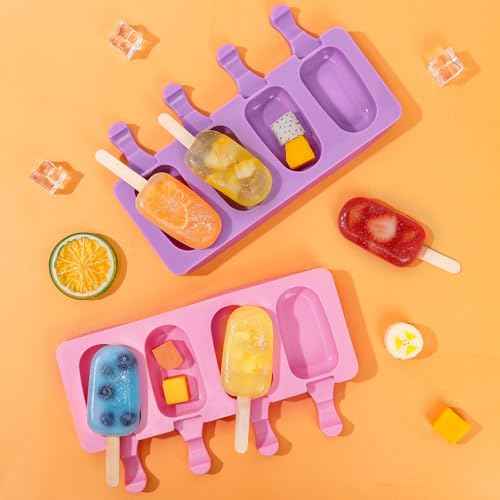 Popsicle Molds Set of 2 (2 Count)
