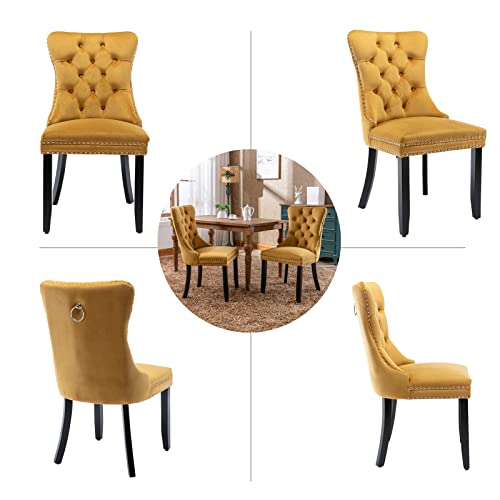 Gold Velvet Dining Chairs Set of 2 (2 Count)