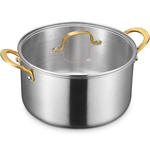8 QT Stock Pot with Lid