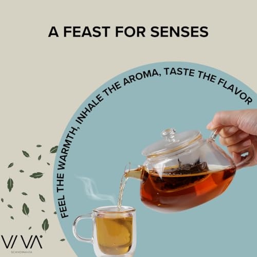 Viva Nicola All Borosilicate Glass Teapot with Tea Included