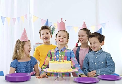 Sturdy Purple Plastic Plates 10" Party Plates 100 Pcs (100 Count)