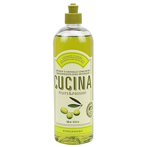 Fruits & Passion Concentrated Dish Soap (16.9 Fl Oz)