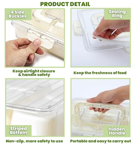 Divided Serving Tray with Lid & Handle&6 Forks