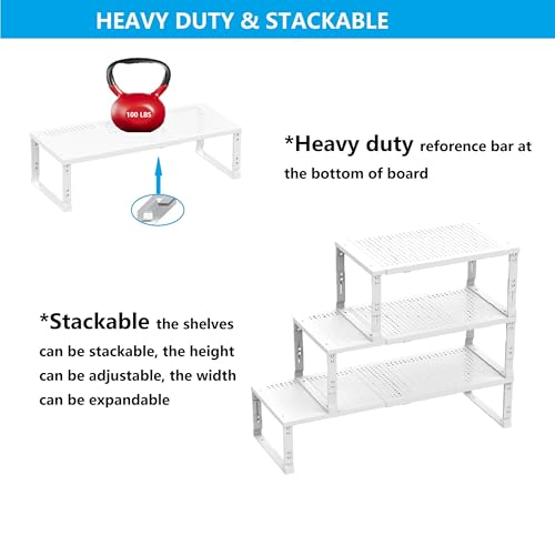 Expandable Spice Rack