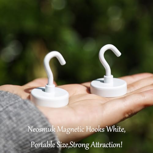 Magnetic Hooks (10 Count)