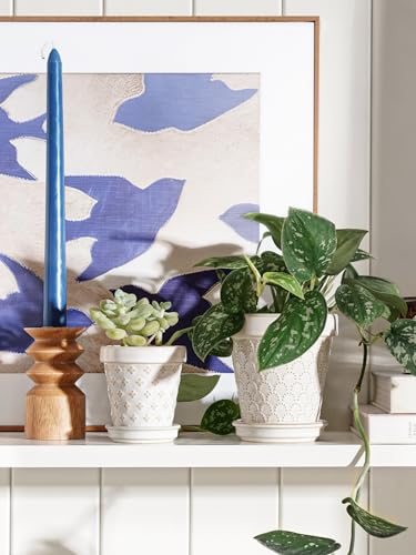 Ceramic Succulent Pots (4 Count)