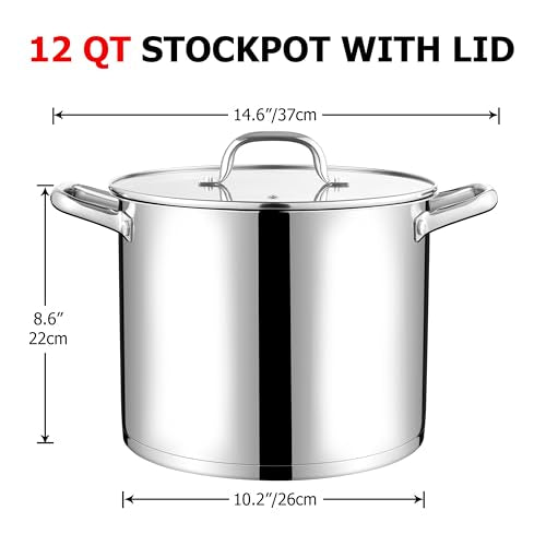 12 QT Stock Pot with Lid