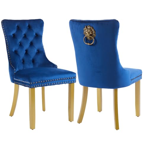 Blue Velvet Dining Chairs Set of 2 (2 Count)