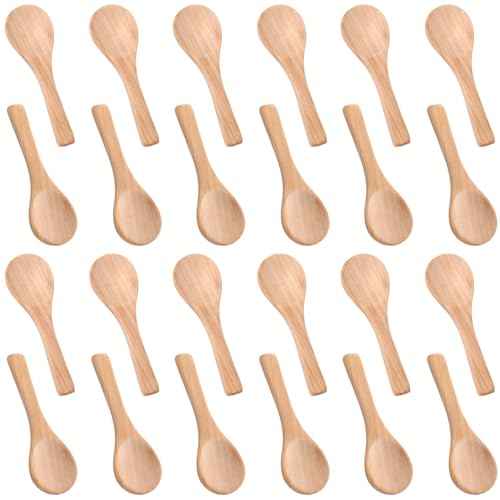 24 Pcs Small Wooden Spoons (24 Count)