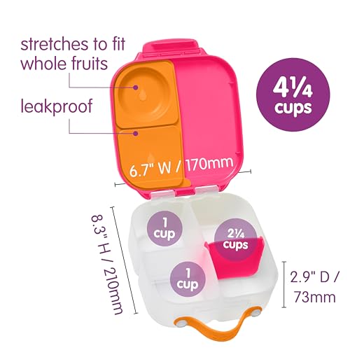 Mini Lunch Box 2