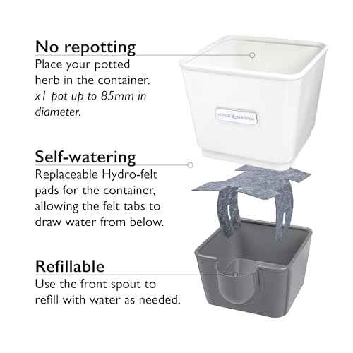 Self Watering Single Potted Herb Keeper
