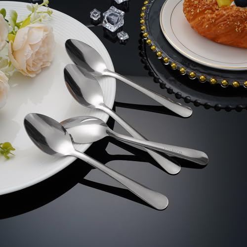 Windsor 60 Pcs Stainless Steel Dinner Spoons (60 Count)