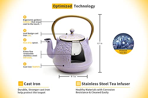 Tea Kettle TOPTIER Japanese Cast Iron Teapot with Stainless Steel Infuser