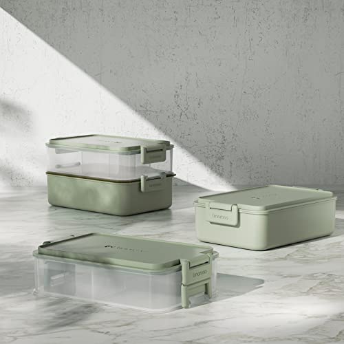 Stackable 2 Tier Adult Bento Box