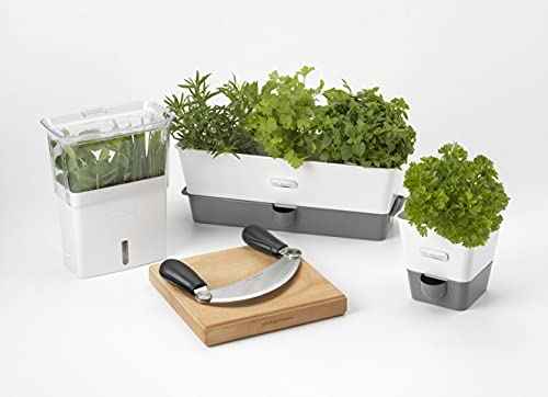 Burwell Self Watering Potted Herb Keeper